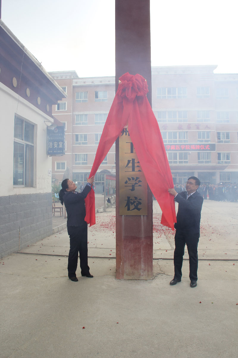 伟德BV1946官网揭牌仪式